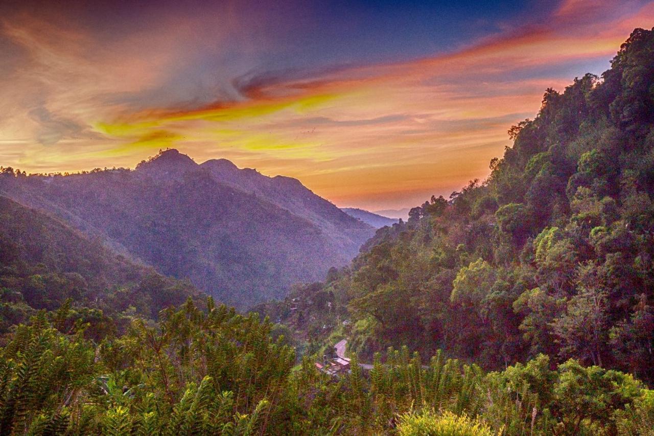 Green Vista Ella Εξωτερικό φωτογραφία